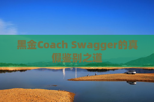 黑金Coach Swagger的真假鉴别之道 黑金Coach Swagger的真假鉴别之道